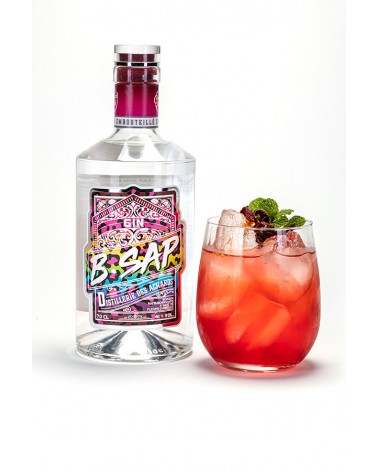 Gin Bulkeley Distillerie des Achards 43% - 70cl